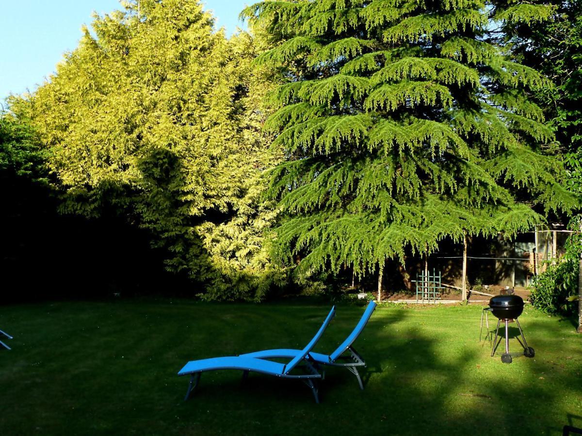 Pleudaniel Ailes Et Iles B&B 외부 사진